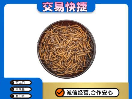 济南市高价回收散虫草