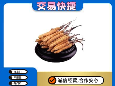 济南市回收冬虫夏草多少钱每克